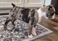 processed/f28019d1-351d-44f4-920d-d66df7e1acad/listing/8f5d1e08-57da-4c67-8dd3-31dbcaf43641/63fed61f-0cdf-4964-95c9-2ea25665bf48