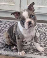 processed/f28019d1-351d-44f4-920d-d66df7e1acad/listing/8f5d1e08-57da-4c67-8dd3-31dbcaf43641/be8dcf84-abcc-4bcd-b266-0a70d8aeb505