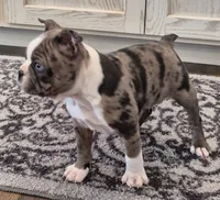 processed/f28019d1-351d-44f4-920d-d66df7e1acad/listing/8f5d1e08-57da-4c67-8dd3-31dbcaf43641/c059dd2b-4030-4296-aac2-a02322def747