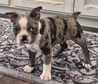 processed/f28019d1-351d-44f4-920d-d66df7e1acad/listing/8f5d1e08-57da-4c67-8dd3-31dbcaf43641/d8321f73-b5d2-40c6-a594-e49de87fa25b