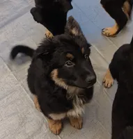 processed/f2827432-195a-4870-9e23-b9393b8e2313/listing/21dabc36-f1a4-45f9-b3c8-2dce7f5c7ee6/a72a695a-6134-47db-9468-a1358b0b037f