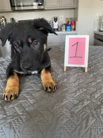 processed/f2827432-195a-4870-9e23-b9393b8e2313/listing/dadfb852-ebec-4a45-ba24-f47ece8c5f81/e7b94c01-c02f-4b0b-9560-ffc60dfdebfa