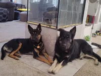 processed/f2827432-195a-4870-9e23-b9393b8e2313/listing/ea6c849a-f529-4863-b46c-2efedc7c19c6/aa06c59d-172d-4360-a6b6-109f6c9a0b74