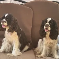 processed/f287c20d-68d3-4af6-be36-42051ff0ffe8/facility/0cb5e948-5b17-4d4f-a7ac-5b660e0ac7a9