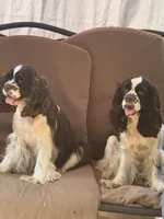 processed/f287c20d-68d3-4af6-be36-42051ff0ffe8/facility/0cb5e948-5b17-4d4f-a7ac-5b660e0ac7a9