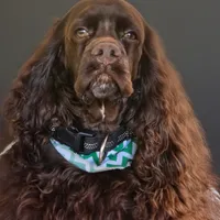 processed/f287c20d-68d3-4af6-be36-42051ff0ffe8/facility/6a50512a-a1b5-44a4-b9be-1fd207e26399