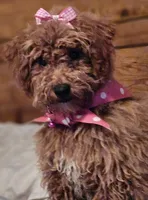 processed/f287c20d-68d3-4af6-be36-42051ff0ffe8/facility/df8f781e-ec9a-4536-a059-2e62dab91388