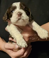 processed/f287c20d-68d3-4af6-be36-42051ff0ffe8/listing/93a88a87-c963-48f7-8984-3d3c5d165234/4d99a23d-d575-4571-97ad-e17a2396818d