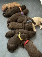 Facility photo