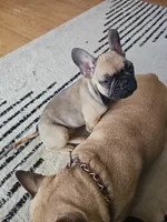 processed/f2923cea-d03b-4dda-9f12-05356399b280/listing/6fcb94df-d901-4134-b7e6-3d50c84b71a6/3b8599e1-9622-4922-a679-640f8b4ef423