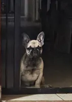 processed/f2923cea-d03b-4dda-9f12-05356399b280/listing/6fcb94df-d901-4134-b7e6-3d50c84b71a6/7dc26718-b357-4fcf-97d1-42034b8724ee