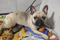 processed/f2923cea-d03b-4dda-9f12-05356399b280/listing/6fcb94df-d901-4134-b7e6-3d50c84b71a6/a4265325-63fc-45b3-964a-1e013d6844fa