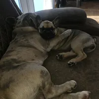 processed/f2923cea-d03b-4dda-9f12-05356399b280/listing/6fcb94df-d901-4134-b7e6-3d50c84b71a6/e125c6db-29c2-44b9-a597-ac13e88c4ba6