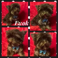 processed/f29a4bf1-f7da-41c9-a869-1381df57371c/facility/0d5462f2-7c87-48cd-892c-2ab62f340629