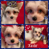 processed/f29a4bf1-f7da-41c9-a869-1381df57371c/facility/18b0cf79-c014-4d10-80a1-d2c3af105609