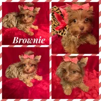 processed/f29a4bf1-f7da-41c9-a869-1381df57371c/facility/230a9b82-c284-42f7-837a-fa45df20fd8f