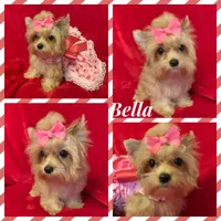 processed/f29a4bf1-f7da-41c9-a869-1381df57371c/facility/37bf6a74-c9cc-42bd-b698-3070911d8974