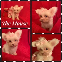 processed/f29a4bf1-f7da-41c9-a869-1381df57371c/facility/3d870eab-ebac-43b3-be1f-b58f277e59c3