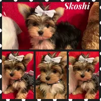 processed/f29a4bf1-f7da-41c9-a869-1381df57371c/facility/650cd7a7-b02f-4443-bc73-a2c2dfa7820e