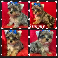 processed/f29a4bf1-f7da-41c9-a869-1381df57371c/facility/bae2e6c5-73ae-44d5-95c9-078b30b631b9