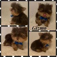 processed/f29a4bf1-f7da-41c9-a869-1381df57371c/facility/bc88d752-4690-4070-ade6-3ce0a45074df