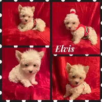 processed/f29a4bf1-f7da-41c9-a869-1381df57371c/facility/ed1fc930-2c95-43ca-84c9-6c6e93f32a81