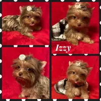 processed/f29a4bf1-f7da-41c9-a869-1381df57371c/facility/fab75e77-171c-4a3d-a65f-f2453af5327e