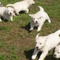 processed/f29ef8c2-f147-48b8-bbb0-4ce8be4c8a43/facility/4b6fcf05-7e70-4d5c-a6bb-e2b096183010