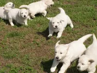 processed/f29ef8c2-f147-48b8-bbb0-4ce8be4c8a43/facility/4b6fcf05-7e70-4d5c-a6bb-e2b096183010