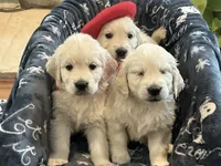 processed/f29ef8c2-f147-48b8-bbb0-4ce8be4c8a43/listing/305fa674-8942-4054-802d-dfd9d6527c36/8b8ef193-a6ce-4ed7-8ca8-2fa9546bf5c3