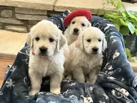 processed/f29ef8c2-f147-48b8-bbb0-4ce8be4c8a43/listing/305fa674-8942-4054-802d-dfd9d6527c36/ae2d26ef-6052-4a0e-a9ac-55b95349d018