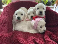 processed/f29ef8c2-f147-48b8-bbb0-4ce8be4c8a43/listing/305fa674-8942-4054-802d-dfd9d6527c36/e542dc72-3645-4a94-b2e3-c12fe3c34cb3