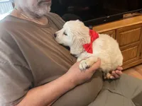 processed/f29ef8c2-f147-48b8-bbb0-4ce8be4c8a43/listing/36b1cab3-631a-4f74-a19c-c06b1d8b770b/00b3b9bf-fbc2-4934-bdda-741e3c9a24f6