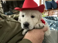 processed/f29ef8c2-f147-48b8-bbb0-4ce8be4c8a43/listing/36b1cab3-631a-4f74-a19c-c06b1d8b770b/0f3e576d-27eb-476d-bd98-8973c30fae94