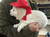 processed/f29ef8c2-f147-48b8-bbb0-4ce8be4c8a43/listing/36b1cab3-631a-4f74-a19c-c06b1d8b770b/60046001-e984-4476-947f-83aa140c62a8