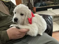 processed/f29ef8c2-f147-48b8-bbb0-4ce8be4c8a43/listing/36b1cab3-631a-4f74-a19c-c06b1d8b770b/62edd4f4-b6f1-4c83-9c44-c4103bf06f16