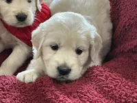 processed/f29ef8c2-f147-48b8-bbb0-4ce8be4c8a43/listing/36b1cab3-631a-4f74-a19c-c06b1d8b770b/d4d96bc1-80ac-4edf-bdf1-22442875f493