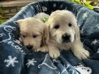 processed/f29ef8c2-f147-48b8-bbb0-4ce8be4c8a43/listing/36b1cab3-631a-4f74-a19c-c06b1d8b770b/f27fd924-87c0-4c07-bb8b-fce1b2dfe5ec