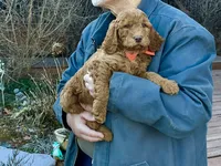 processed/f29ef8c2-f147-48b8-bbb0-4ce8be4c8a43/listing/825cfc9e-1912-4541-84b3-76ce7822f471/7dbe96a7-5f65-44fe-a8ea-e140c564d174