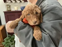 processed/f29ef8c2-f147-48b8-bbb0-4ce8be4c8a43/listing/825cfc9e-1912-4541-84b3-76ce7822f471/a1e9c3a6-5515-4ed4-a0ef-4378d1876f41