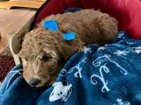 processed/f29ef8c2-f147-48b8-bbb0-4ce8be4c8a43/listing/a13adecd-7698-4fbb-a29f-a66accba5d08/b9e59cd1-67de-44a8-ba57-3e24aaad9089