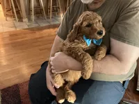 processed/f29ef8c2-f147-48b8-bbb0-4ce8be4c8a43/listing/a13adecd-7698-4fbb-a29f-a66accba5d08/e3dfe2db-2b40-4895-97ad-f4f1642e6b9a