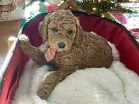 processed/f29ef8c2-f147-48b8-bbb0-4ce8be4c8a43/listing/a13adecd-7698-4fbb-a29f-a66accba5d08/fa96b8d5-19a0-4318-9619-6fa61e01d7c7