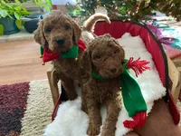 processed/f29ef8c2-f147-48b8-bbb0-4ce8be4c8a43/listing/a520769a-413c-4ad9-aa42-1d6c5e5d7a84/cdabfdb3-d2e7-4a5b-a796-4091c95d3391