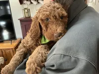 processed/f29ef8c2-f147-48b8-bbb0-4ce8be4c8a43/listing/a520769a-413c-4ad9-aa42-1d6c5e5d7a84/deb4fbe5-f3c3-434c-a759-21f6415fbc98