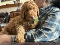 processed/f29ef8c2-f147-48b8-bbb0-4ce8be4c8a43/listing/a520769a-413c-4ad9-aa42-1d6c5e5d7a84/fce9b14b-e2cd-4757-ac76-a055520a9e74