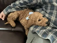 processed/f29ef8c2-f147-48b8-bbb0-4ce8be4c8a43/listing/b4af3543-ce4b-4d05-a5d9-58f384ffadbb/15c82229-80b3-4dd4-b5e3-48c4995b2067