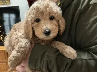 processed/f29ef8c2-f147-48b8-bbb0-4ce8be4c8a43/listing/b4af3543-ce4b-4d05-a5d9-58f384ffadbb/20ac775b-d042-4819-84ab-4905be7588d3