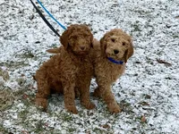 processed/f29ef8c2-f147-48b8-bbb0-4ce8be4c8a43/listing/b4af3543-ce4b-4d05-a5d9-58f384ffadbb/bd7274a2-5412-4060-9c2d-a94e620e65dc