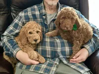 processed/f29ef8c2-f147-48b8-bbb0-4ce8be4c8a43/listing/b4af3543-ce4b-4d05-a5d9-58f384ffadbb/ebeb7c86-ae13-4193-8409-9a2b0a963336